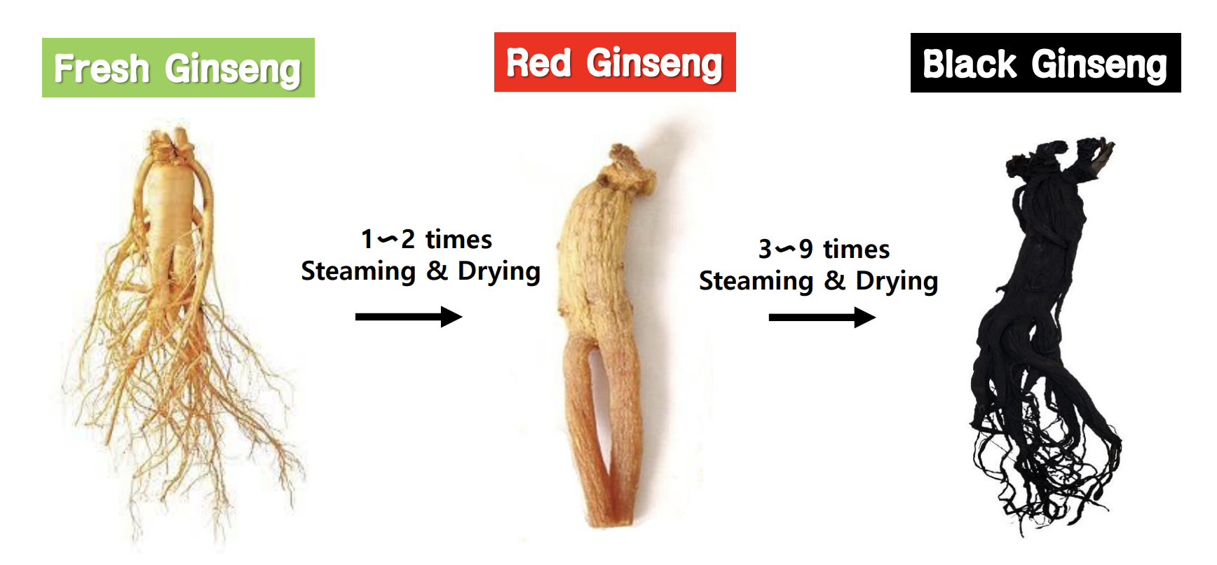 three-types-of-ginseng